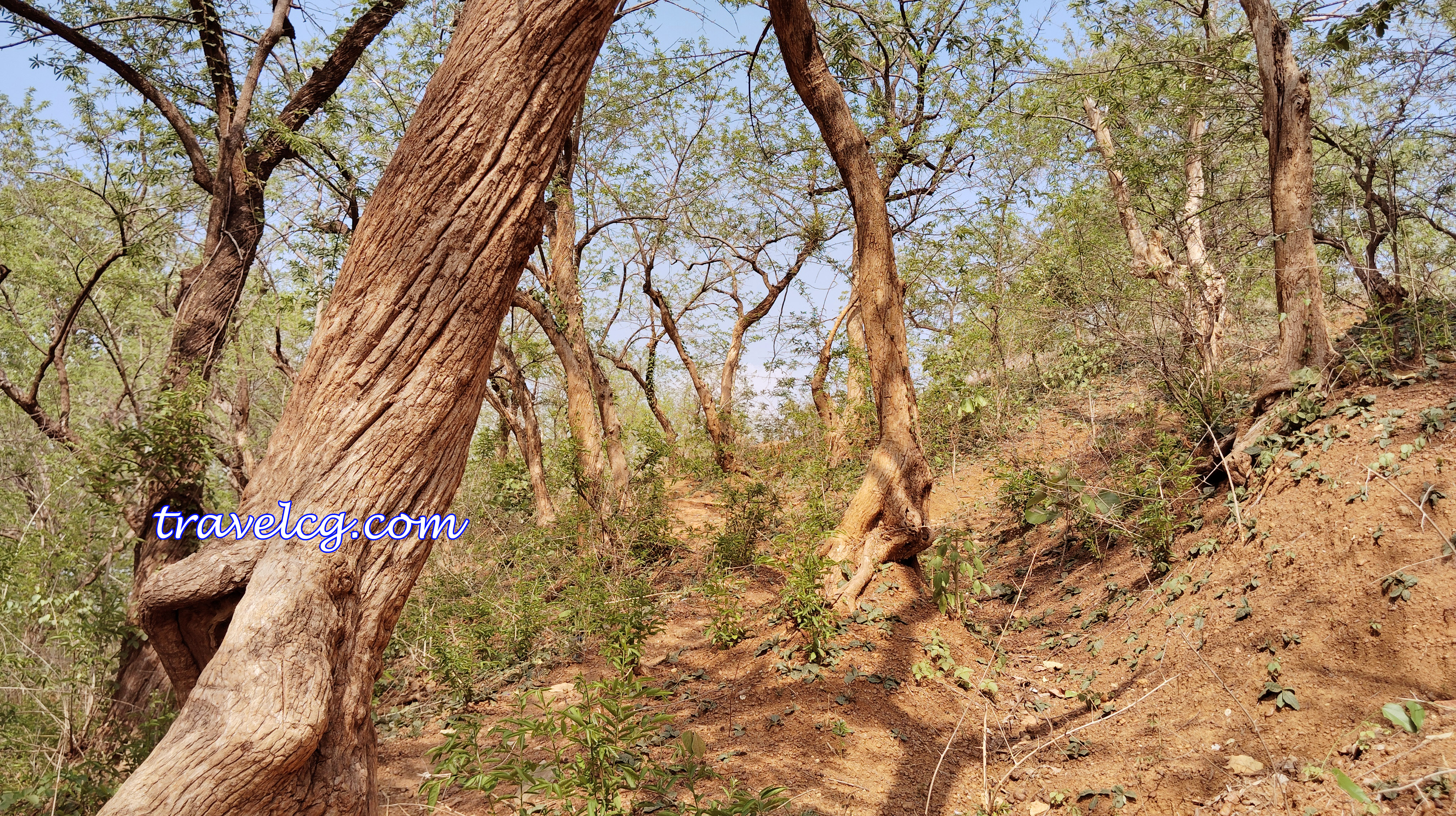 malhar garh photos, chhattisgarh