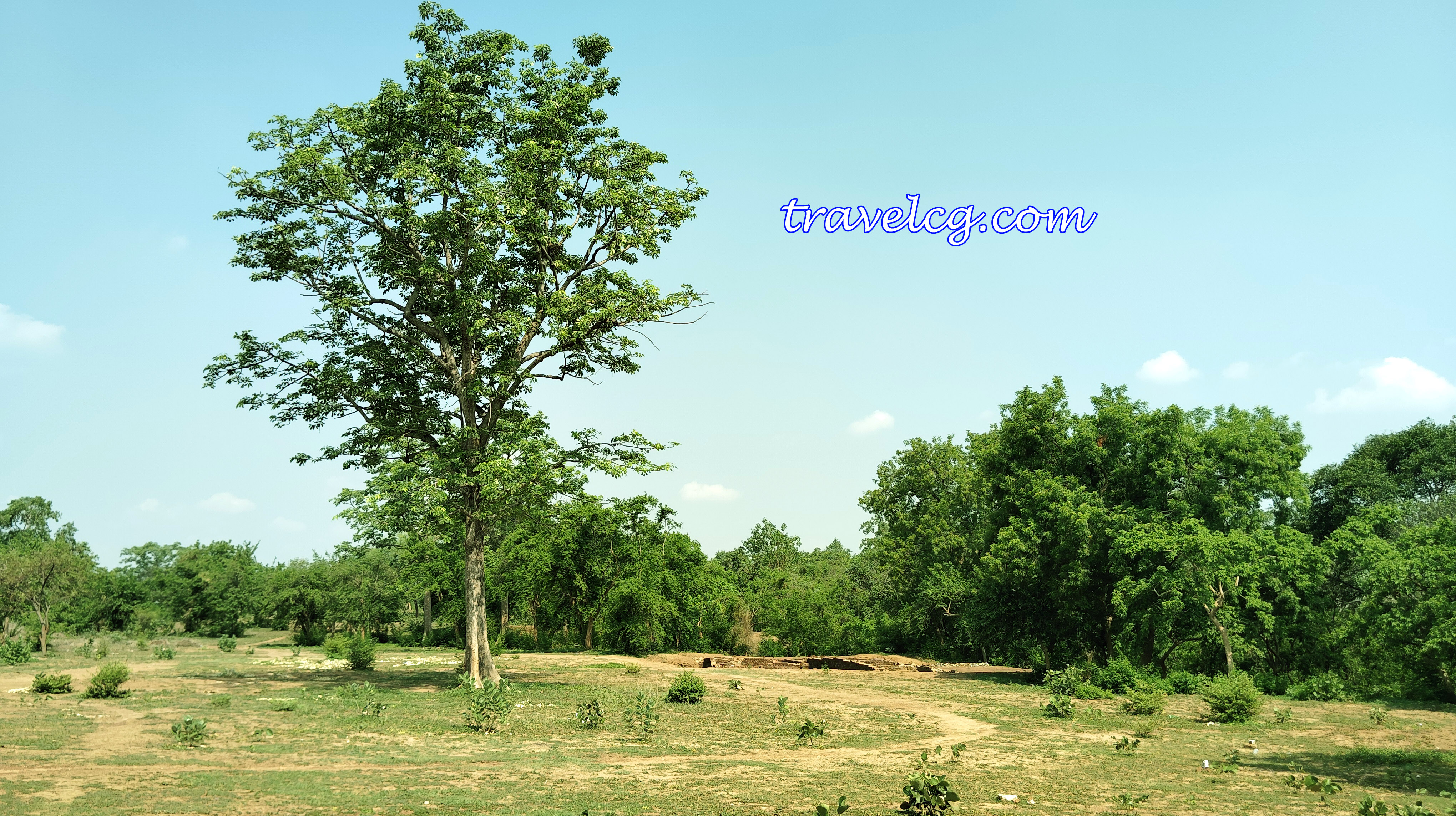 beautiful places to visit in malhar bilaspur chhattisgarh