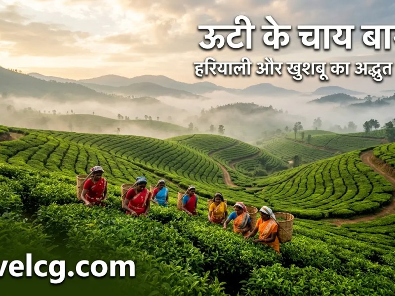 ऊटी के चाय बागान: हरियाली, खुशबू और पहाड़ों के बीच एक अनोखा&nbsp;अनुभव