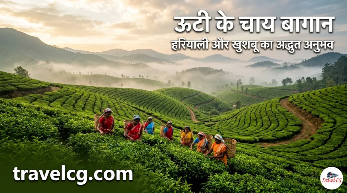 ऊटी के चाय बागान: हरियाली, खुशबू और पहाड़ों के बीच एक अनोखा&nbsp;अनुभव
