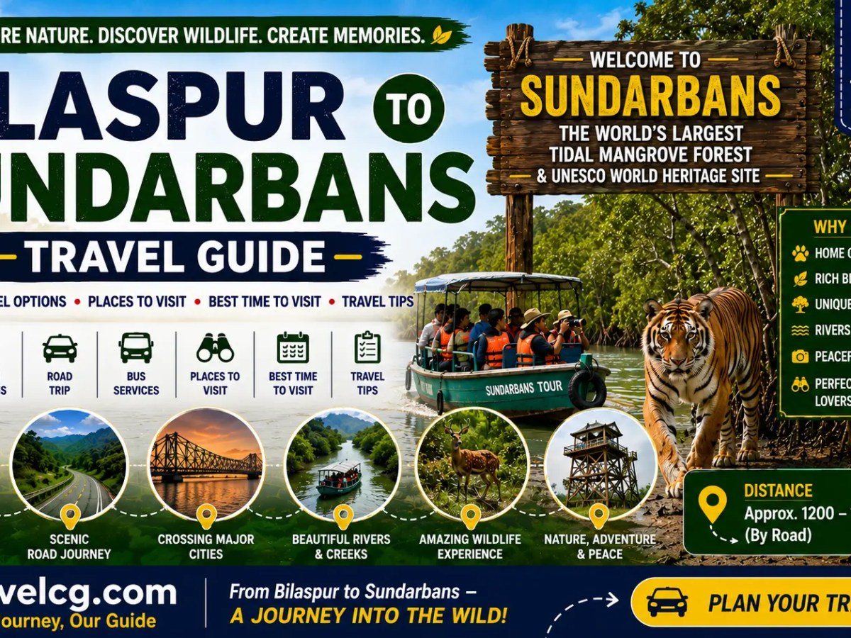 Bilaspur to Sundarbans: Travel&nbsp;Guide